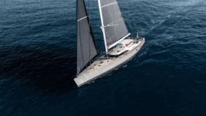 LHippocampe-Swan-100-1-scaled