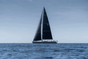 LHippocampe-Swan-100-3-scaled