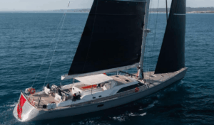 Swan-100-LHippocampe-10