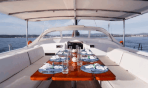 Swan-100-LHippocampe-15