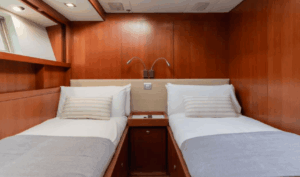 Swan-100-LHippocampe-21