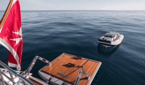 Swan-100-LHippocampe-8
